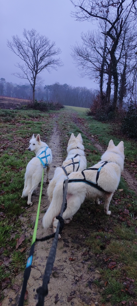 Promenade en famille la veille de Noël !